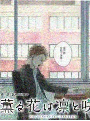 达达兔神马影院 - 综艺大咖秀
